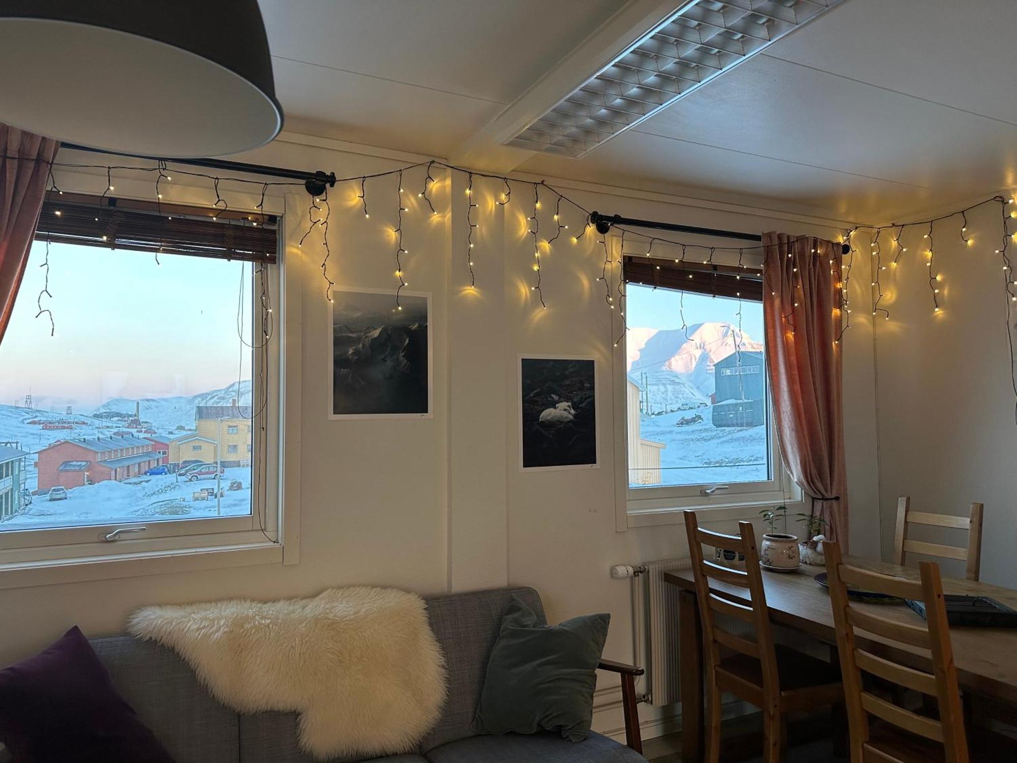 Haugen Svalbard *